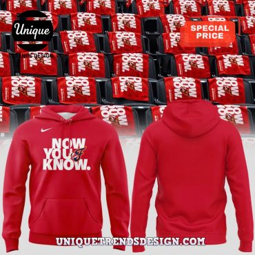 Indiana Fever Now You Know Hoodie