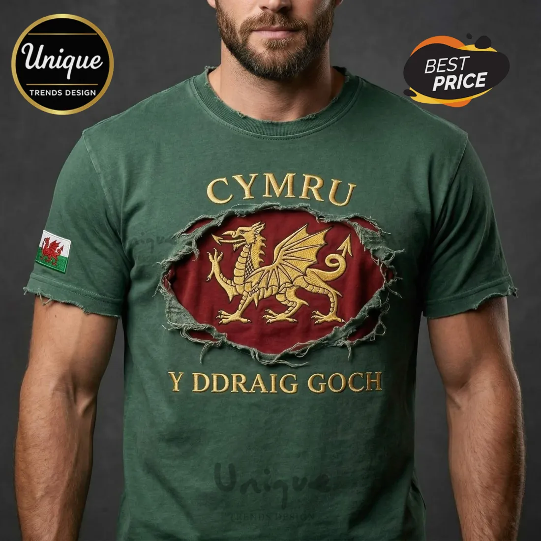 Wales Red Dragon Distressed Green Premium T-Shirt Wales Red Dragon Distressed Green Premium T-Shirt